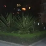 20151314™