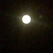 人在社会393