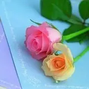 ♩♪形影子♫♬