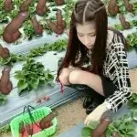 在此享受