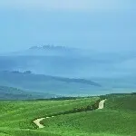 小毛毛虫~~~