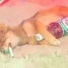 你的昵称已被占用。