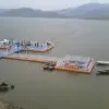 诚实做人n