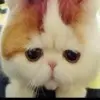 人活着就要HAPPY