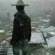 我找羊