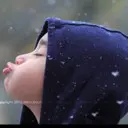 立子青