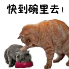 缘来缘去缘在何方的主播照片
