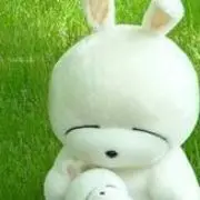 紫色&amp;回忆