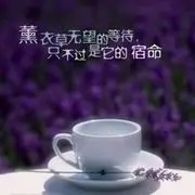 ～淡淡~