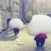 昵称违规，请重新修改