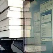 {冰狼}}
