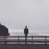 王vm