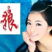 琪琪的狼