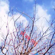 ，秋天的风，