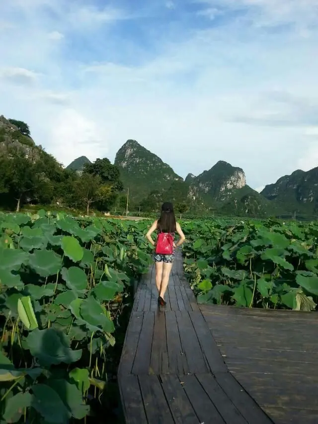 夜夜夜耶！的主播照片