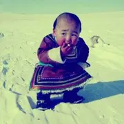 微信_1529604