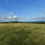 高喊橙橙我爱你