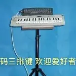 浪花欢歌