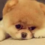 😜戈壁老王😄