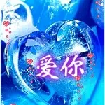 粤X自由
