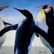 1687875443