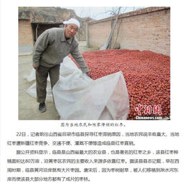 山西一小马哥主播照片