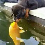 …今世缘灬