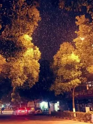 沁儿。。。的主播照片