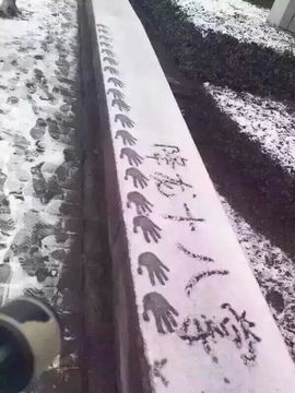 鸭王哥哥主播照片