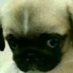 ◎九哥◎