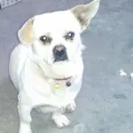 莫等闲@