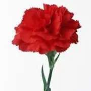 ♪凝❤聚❤升❤华♪