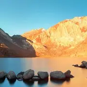 开心马哥7