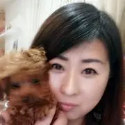 曾经来过51