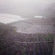 微信_4196319