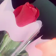 v_one