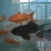 我心永恒er