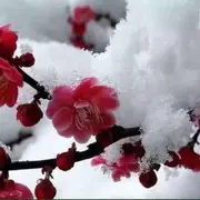 @唯我独尊@：-D