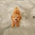 ☞☞壹撸哥