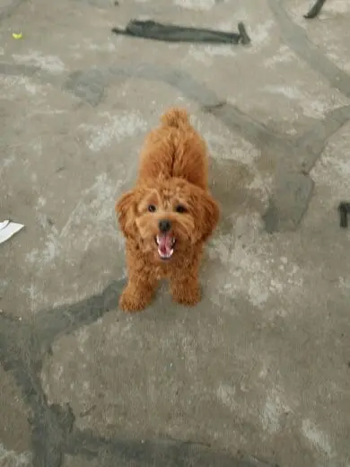 ☞☞壹撸哥的主播照片