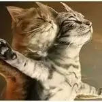 ◕◕萱妮❤瞎逛◕◕