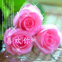 昭君出塞💑西施塞壬的主播照片