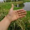 一颗痣的女人
