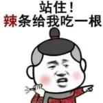 臻熙战将