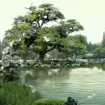 DIY恸殇-阿耀