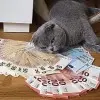 o3o丫丨冂𐂎
