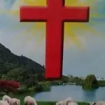 ❤一梦千年❤