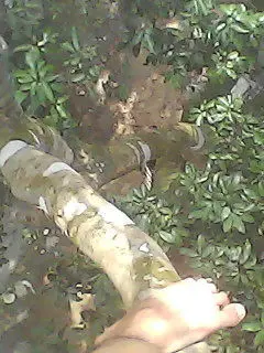 水寒@的图片