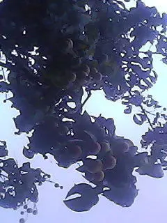 水寒@的图片