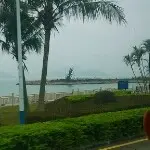 就是上来看看